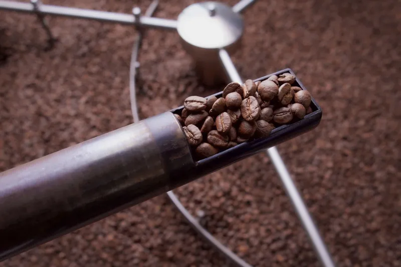 Beans, Passion, and a Whole Lot of Altitude: The Indie Roasters Putting Taipei on the Specialty Coffee World Map
