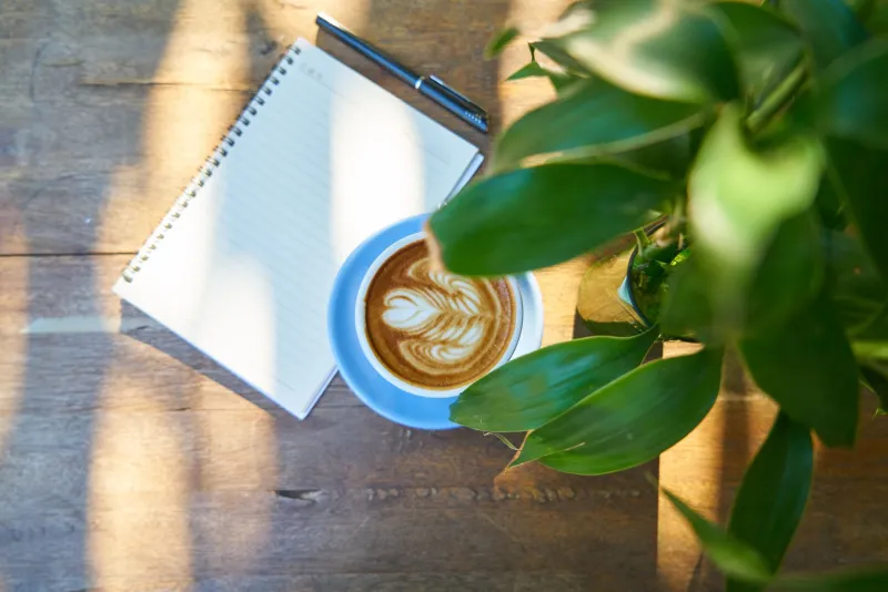 Your Coffee, Your City: How Solo Travelers Are Turning Taipei's Café Scene Into a Personal Adventure
